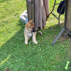 Meet your Posher, Elaine